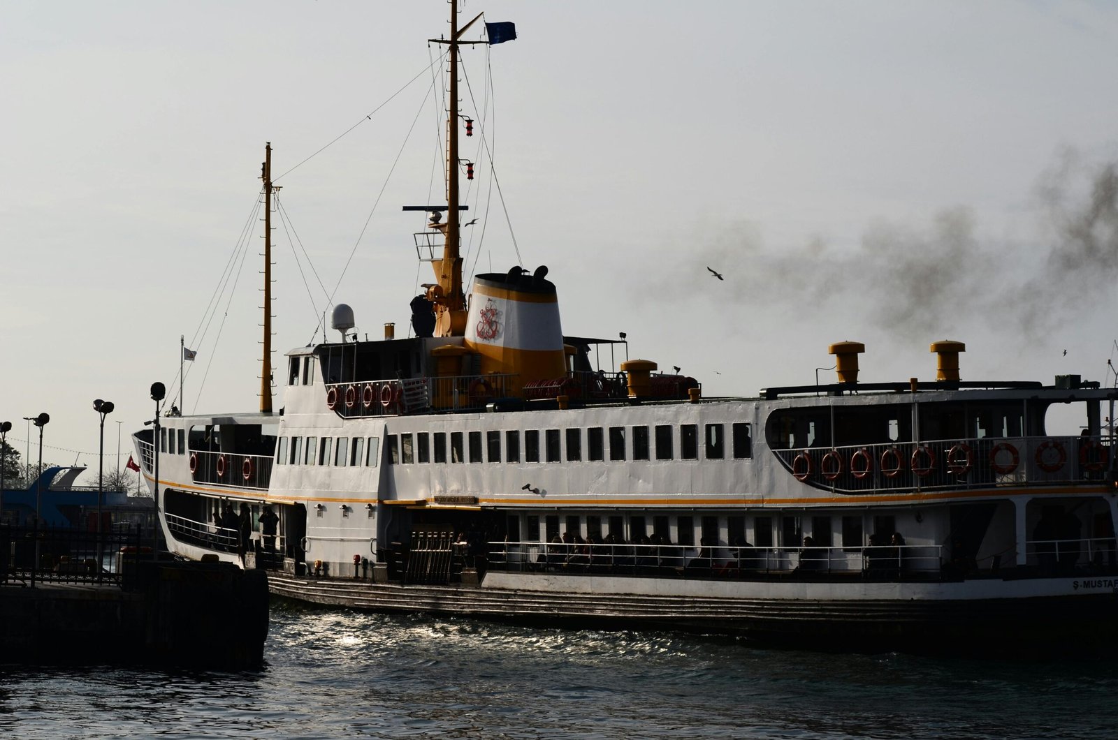 MV Marco Polo Cruise Ship