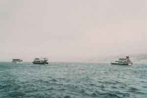 Things to Do in Sitka Alaska from Cruise Ship