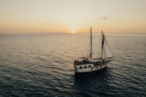 What Cruise Lines Offer Cigar Lounges
