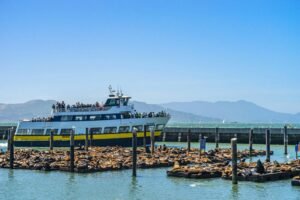 San Francisco Cruise Ship Schedul